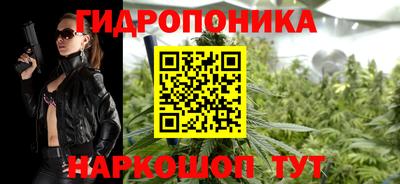 эйфоретик Аргун