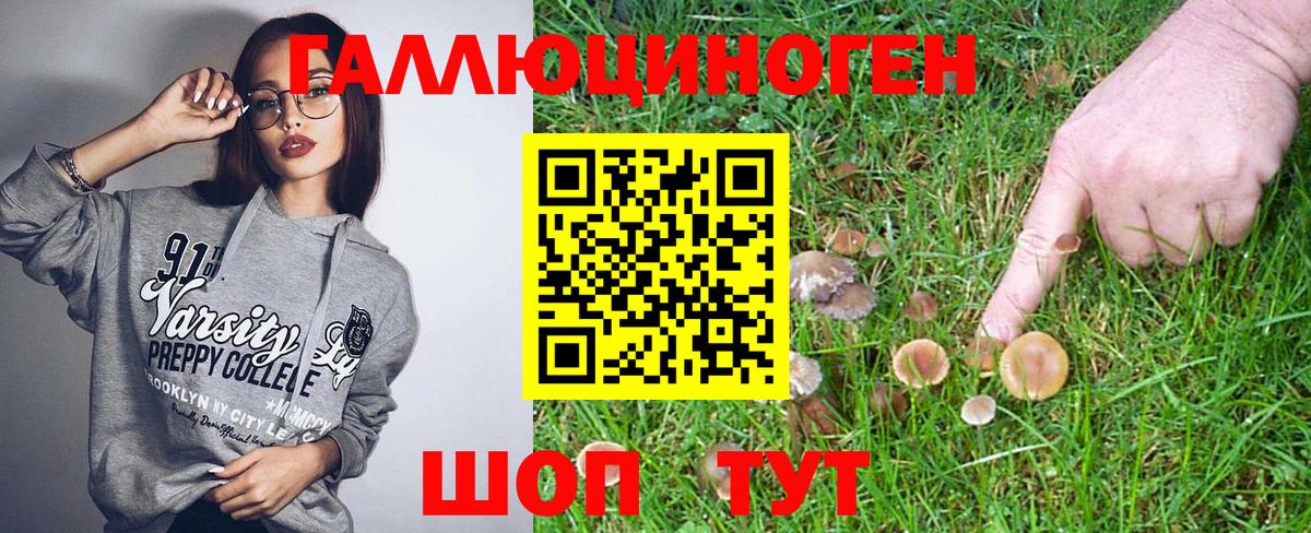Псилоцибиновые грибы MAGIC MUSHROOMS Волжский